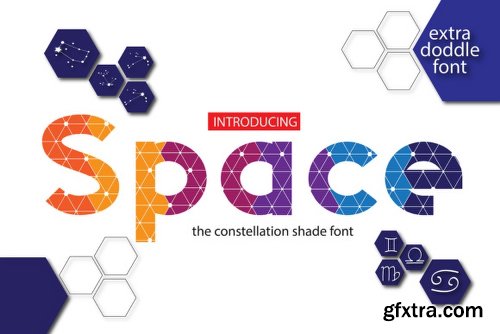 Space Font Family - 2 Fonts