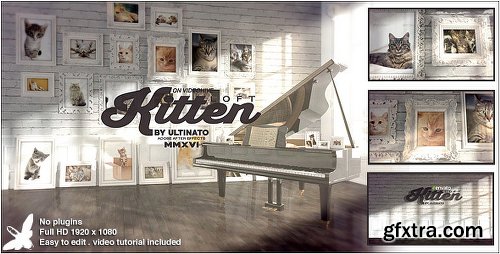 Videohive Kitten Loft 14787460