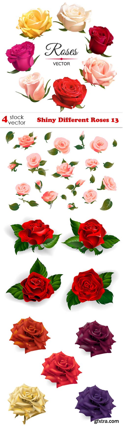 Vectors - Shiny Different Roses 13