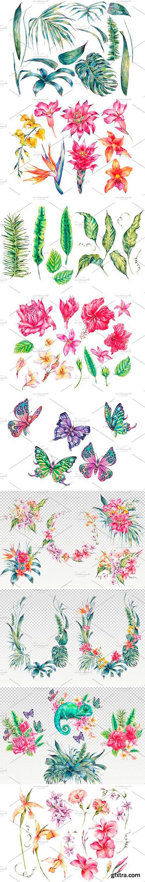 Summer Time, Tropical Flowers Collection - watercolor clipart bundle