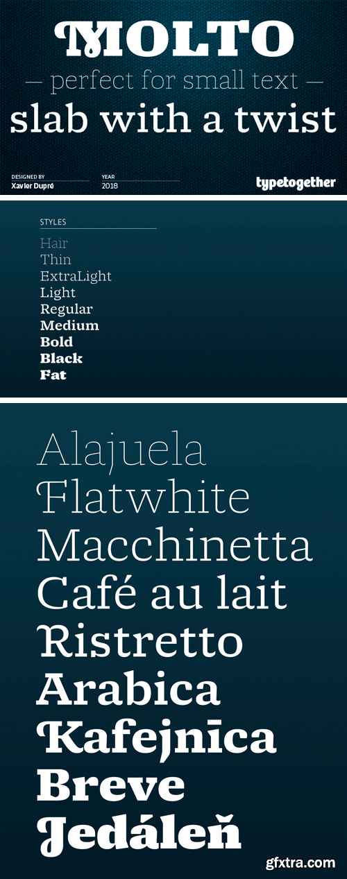 Molto Font Family