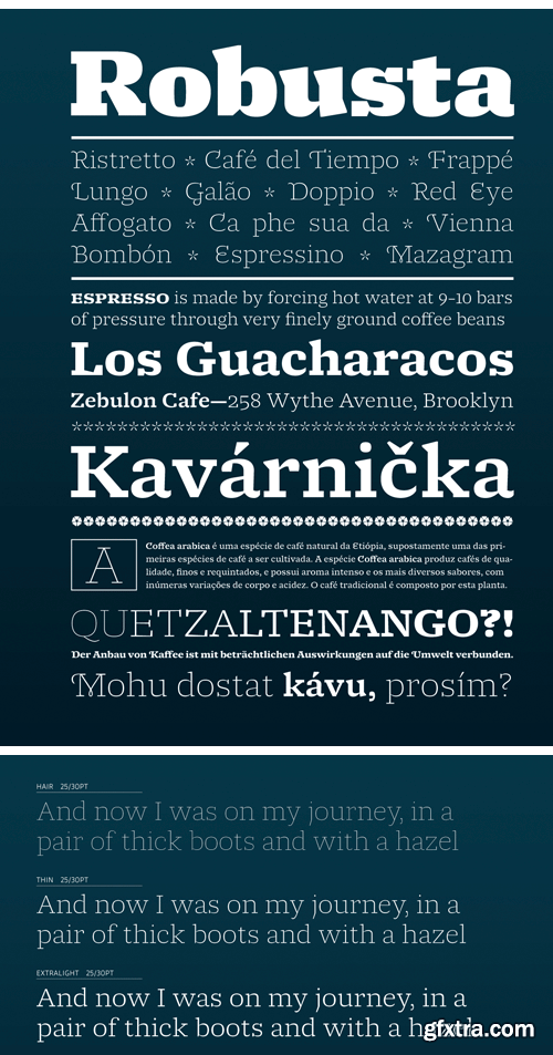 Molto Font Family