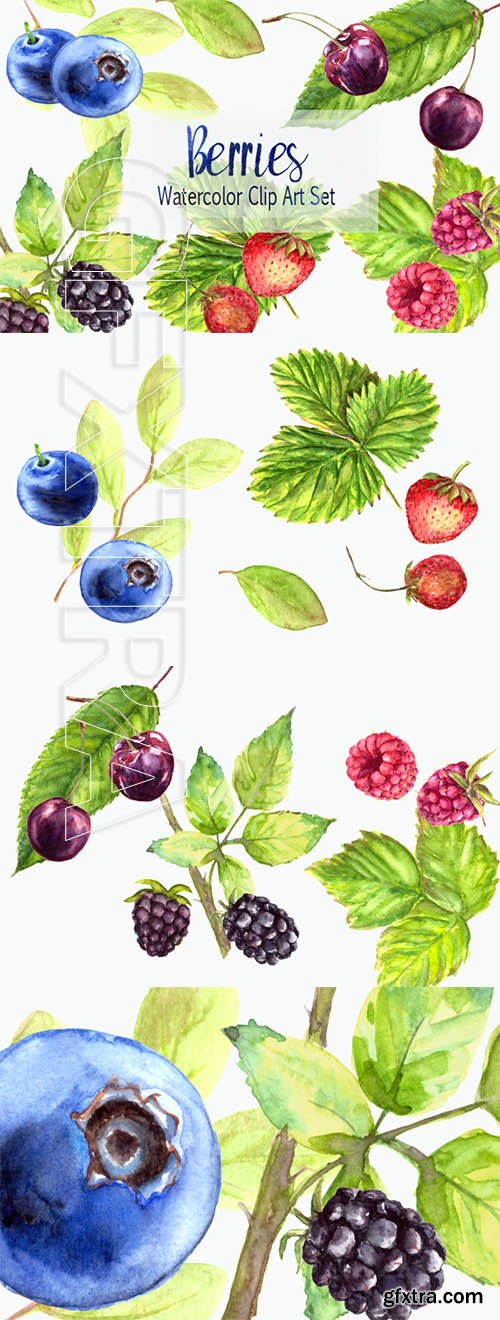 Watercolor Berries Clip Art Set