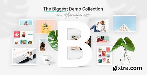 ThemeForest - Bridge v16.6 - Creative Multi-Purpose WordPress Theme - 7315054