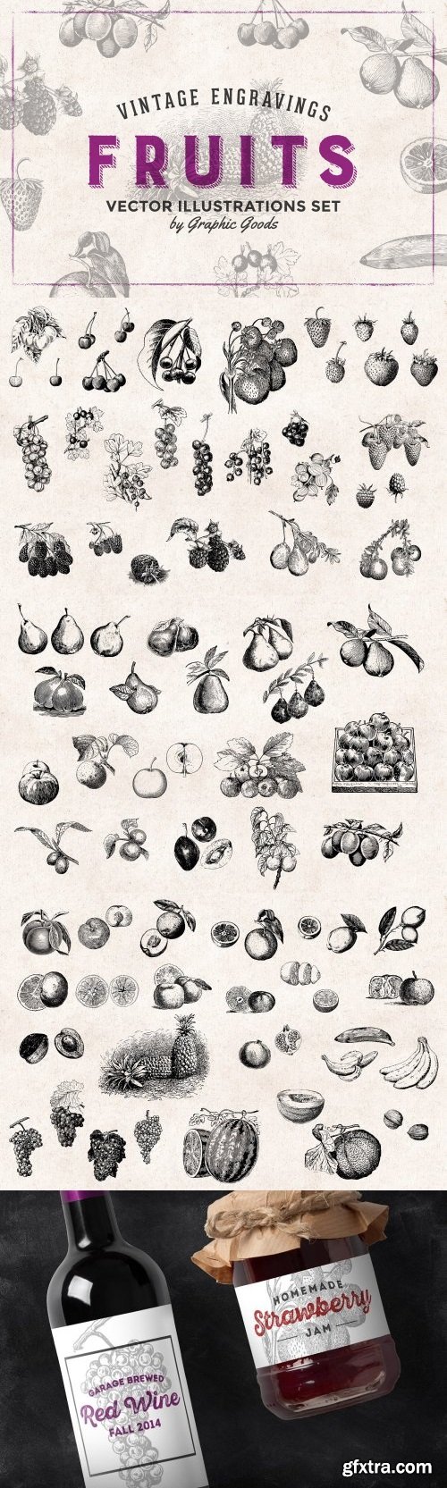 CM - Fruits Engravings Set 478896