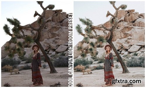 Lisa Prang Lightroom Presets Pack