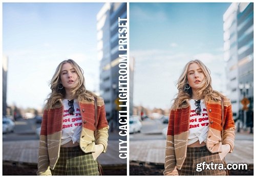 Lisa Prang Lightroom Presets Pack