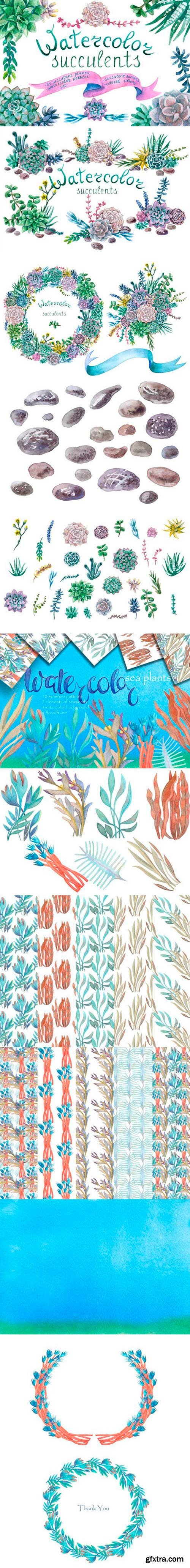 Watercolor sea plants, Succulent and patterns