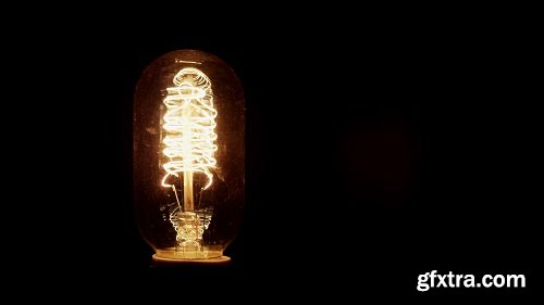 light bulb (2)