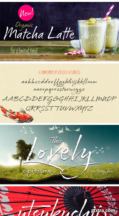 Cherry Blossoms Font Family