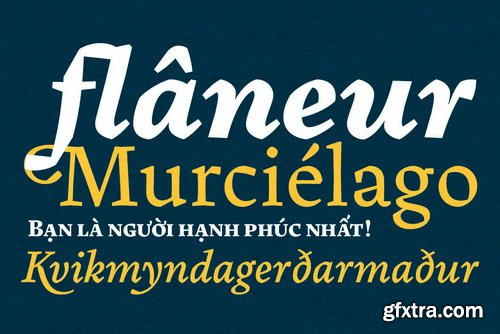 Pliego Font Family