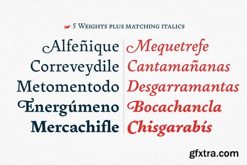 Pliego Font Family