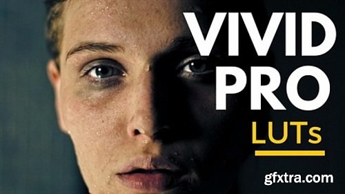 VIVID LUTs Pro (Win/Mac) Complete