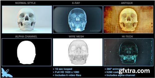 Videohive - Skull Loop Pack - 5228930