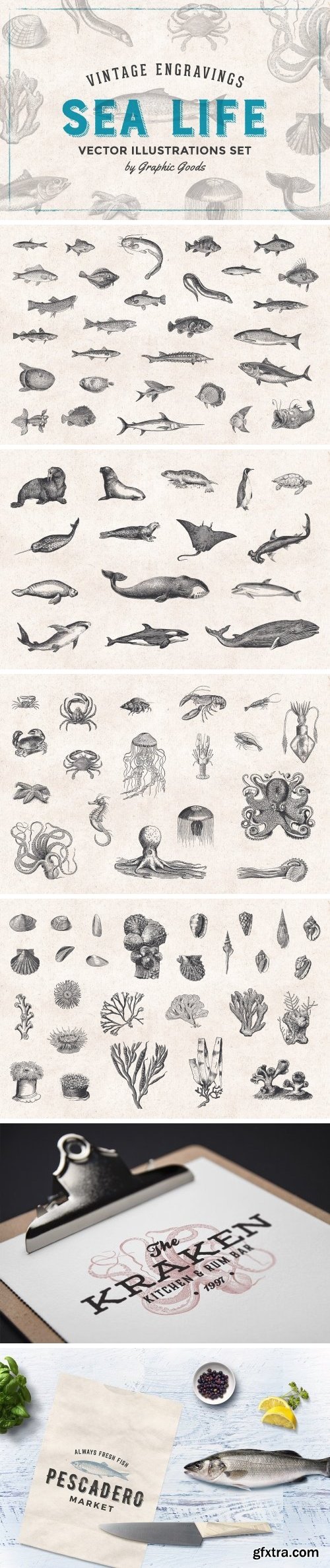 CM - Fishes & Sea Life Engravings Set 1192599