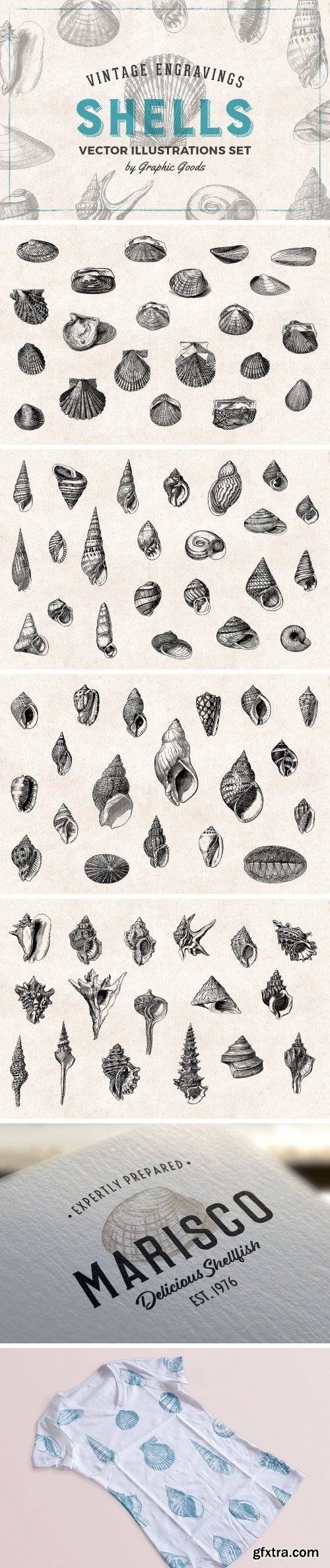 CM - Shells - Vintage Engravings Set 1400736