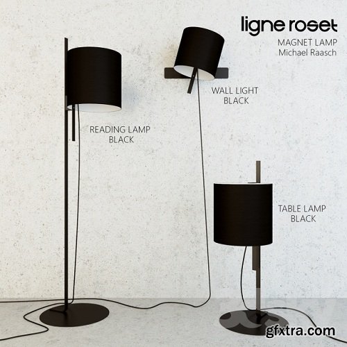 Ligne Roset Magnet Lamp 3d Model