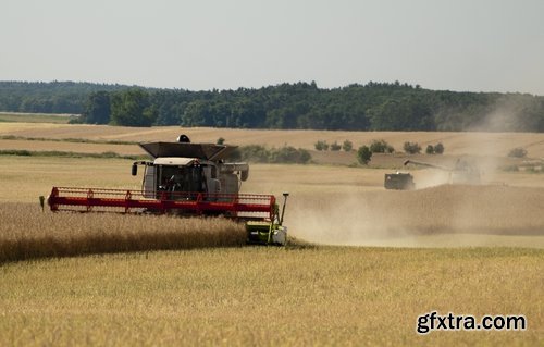 Harvest still life fruit vegetables agriculture farming 25 HQ Jpeg