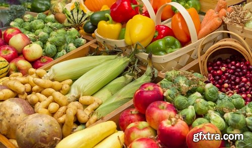 Harvest still life fruit vegetables agriculture farming 25 HQ Jpeg