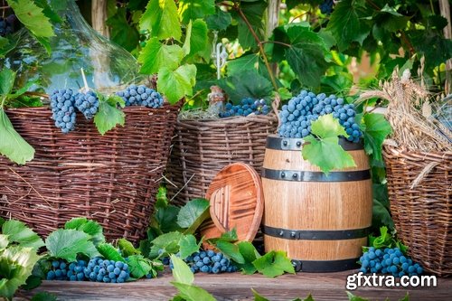 Harvest still life fruit vegetables agriculture farming 25 HQ Jpeg