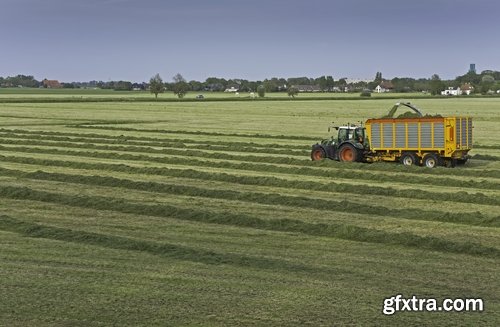 Harvest still life fruit vegetables agriculture farming 25 HQ Jpeg