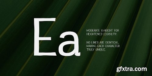 Greenstyle  Font Family - 5 Fonts