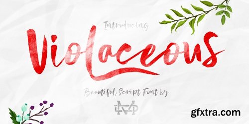 Violaceous Brush Script Font