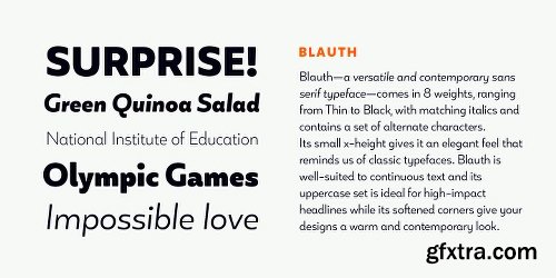 Blauth Font Family - 18 Fonts