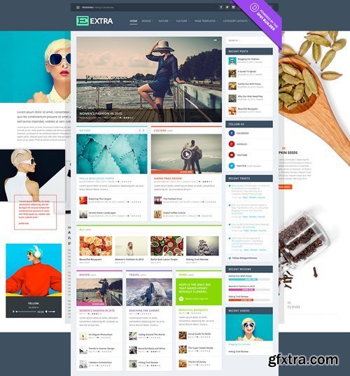 Extra v2.9.0 - WordPress Theme - ElegantThemes