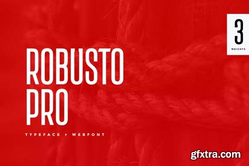 Robusto Pro Modern Typeface + WebFont