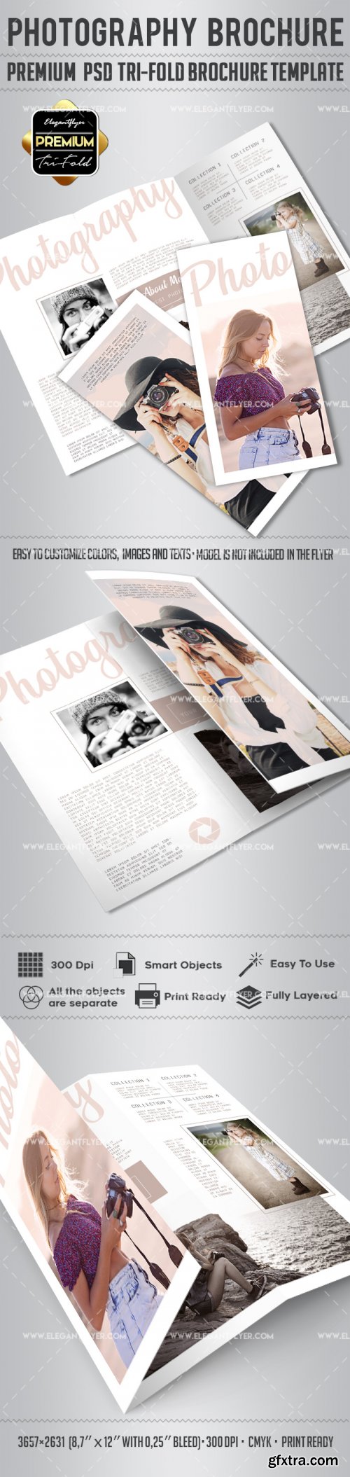 Photography V15 2018 Tri-Fold Brochure PSD Template