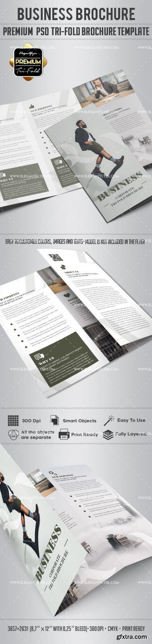 Business V17 22018 Tri-Fold Brochure PSD Template