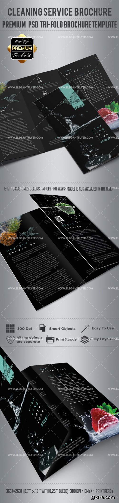 Cleaning Service V6 2018 Tri-Fold Brochure PSD Template