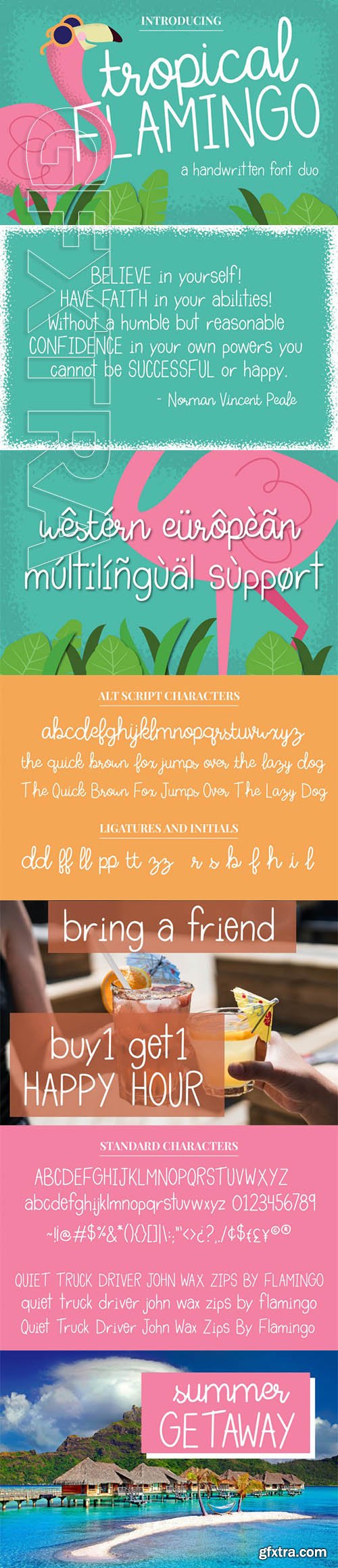 Tropical Flamingo Font Duo