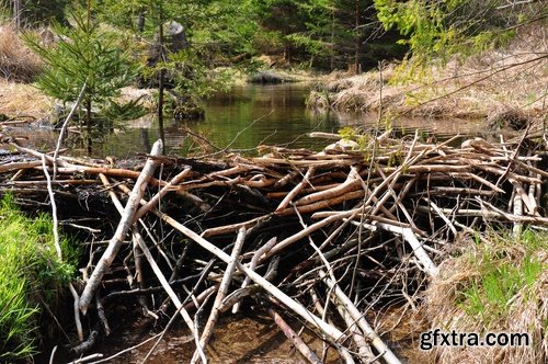 Dam barrage pool roofed river water energy 25 HQ Jpeg