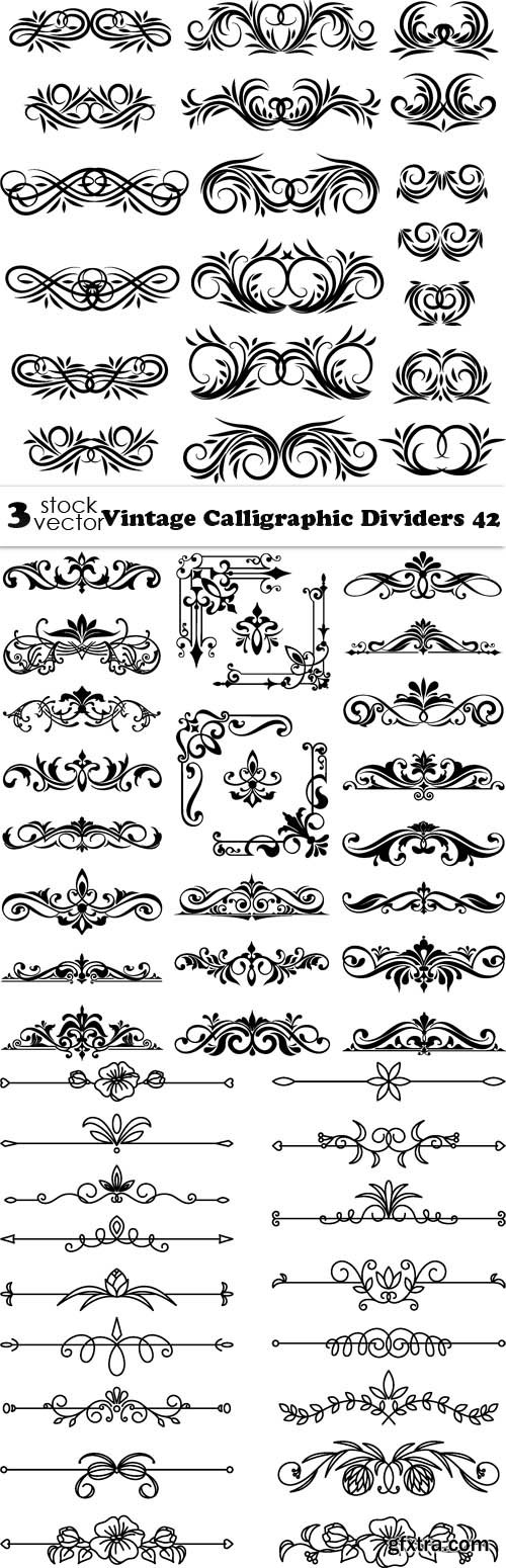 Vectors - Vintage Calligraphic Dividers 42