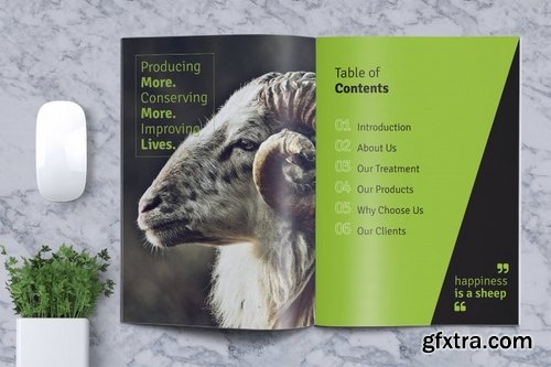 Sheep Farm Brochure