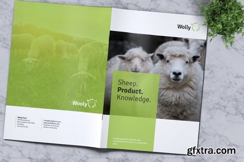 Sheep Farm Brochure