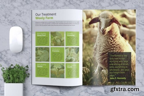 Sheep Farm Brochure