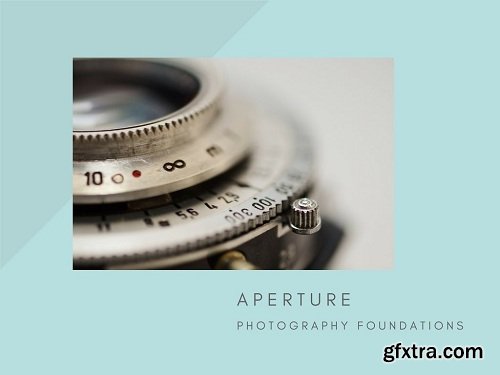 Using Aperture to Create Depth of Field