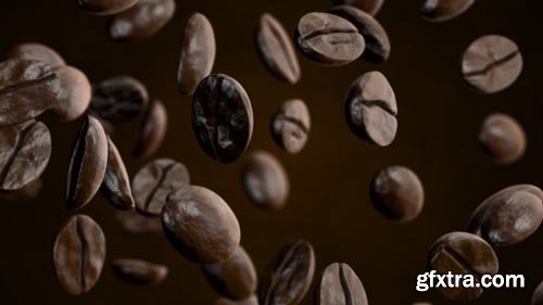 Videohive - Coffee - 20908689