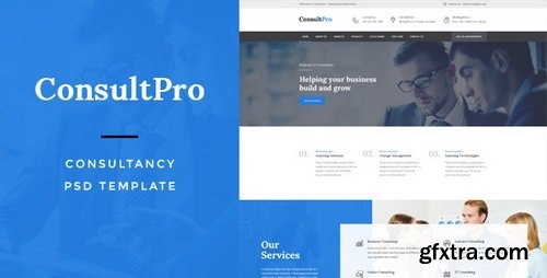 ThemeForest - ConsultPro : Consultancy PSD Template 15473671