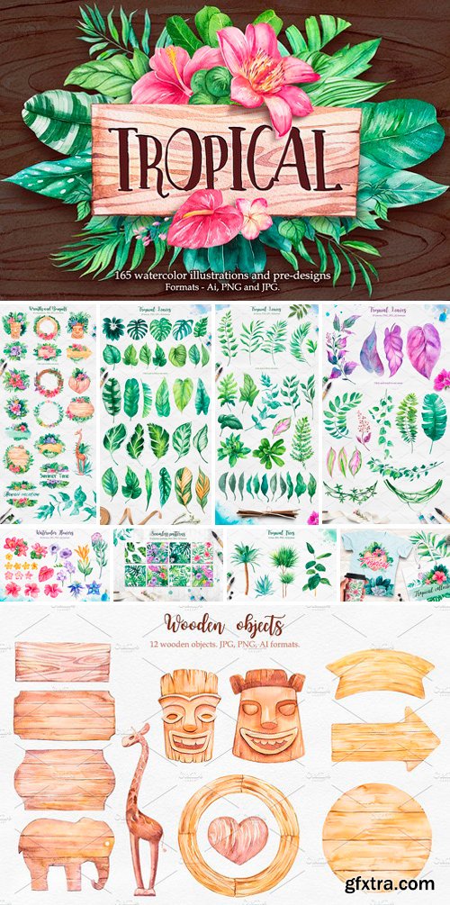 CM - Tropical Watercolor illustrations 2379405