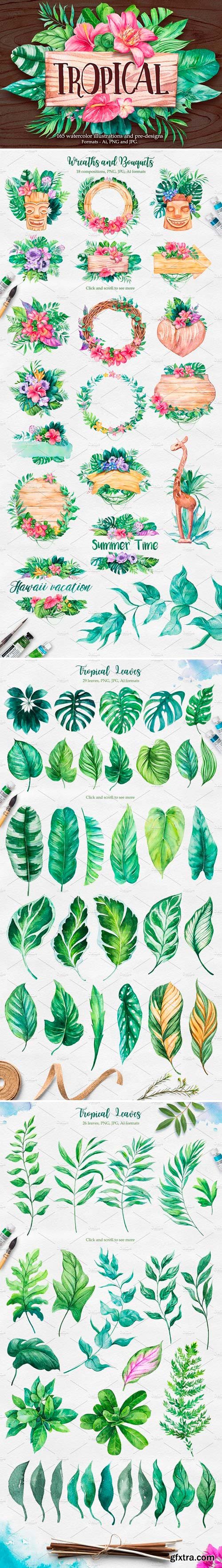 CM - Tropical Watercolor illustrations 2379405