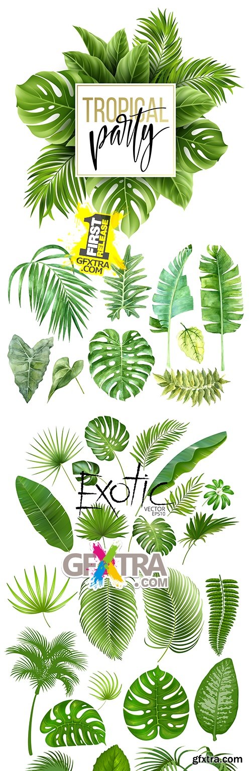 Exotic collection summer leaves of tropical trees