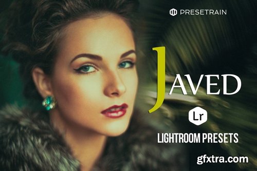 Javed Lightroom Presets