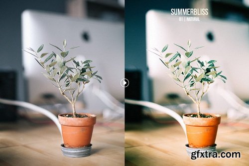 Summerbliss Lightroom Presets