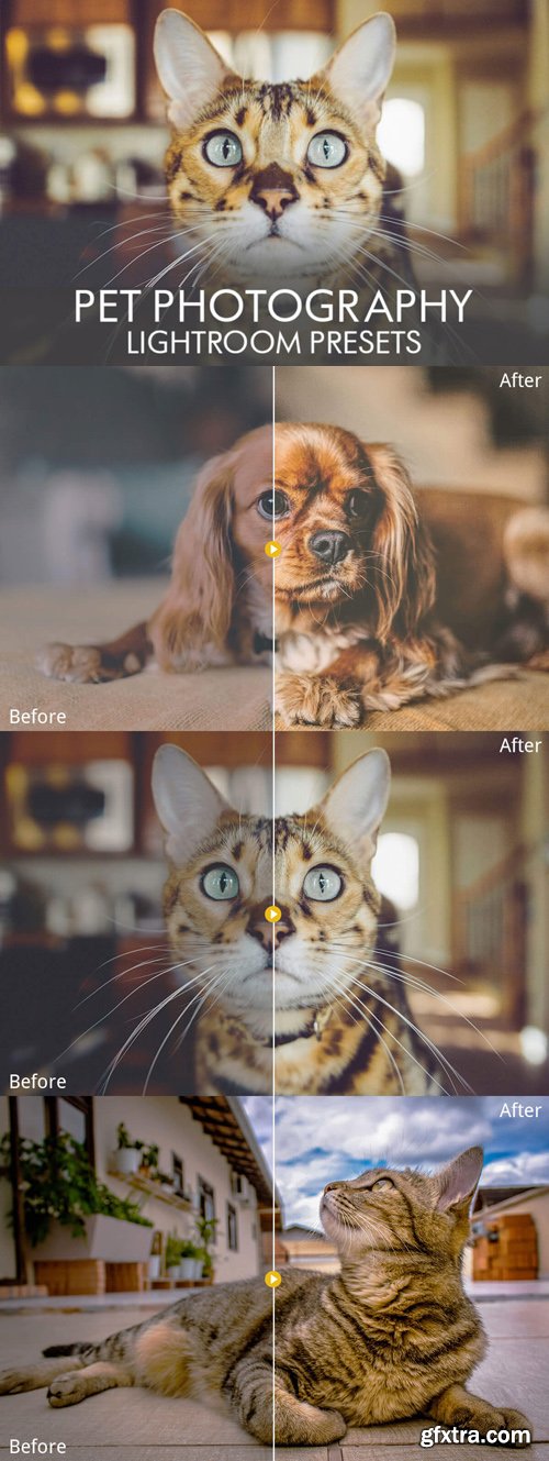 18 Pet Photography Lightroom Presets [JPEG/RAW]