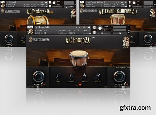 Angel Cano Gold Percussions KONTAKT MiDi