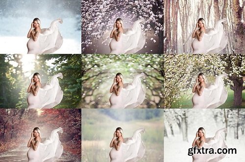 Seasonal Digital Backdrop Collection